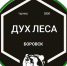 ДУХ ЛЕСА - Город Боровск