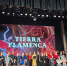 VII Межрегиональный хореографический фестиваль «Tierra Flamenca». - Администрация Боровского района